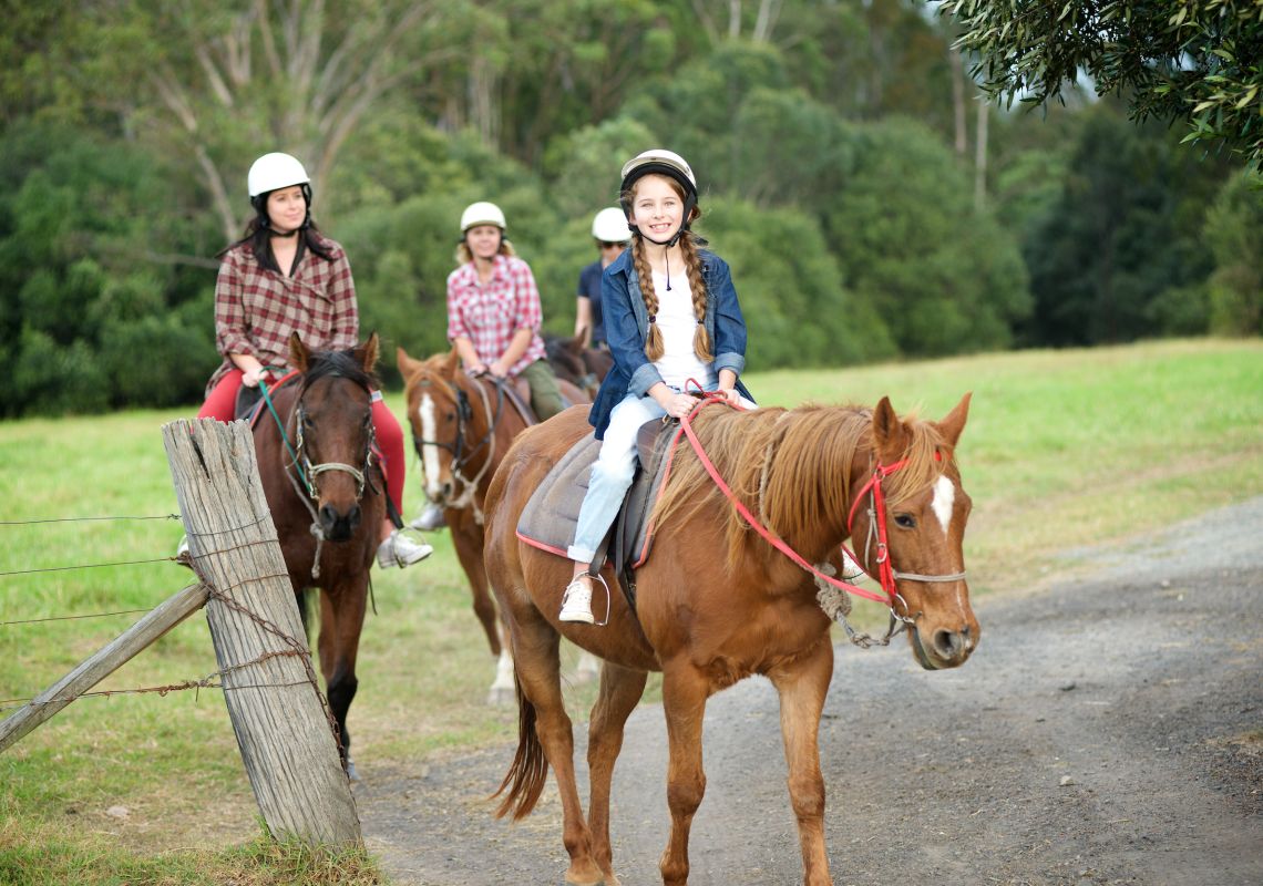 Horse Riding in Sydney Horseback Riding & Trail Riding